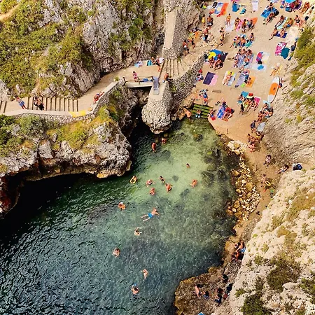 Chios Presicce